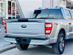 فۆرد F-150